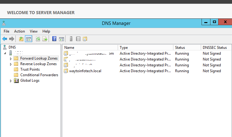 Create Creating a DNS Forward Lookup Zone in Windows Server